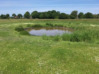 Holiday house Risum-Lindholm Outdoor Recording 9