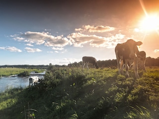 Vechtdal (Fotograf Kenneth Stamp)
