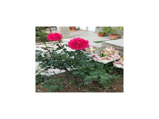 Apartment Vodice Outdoor Recording 5