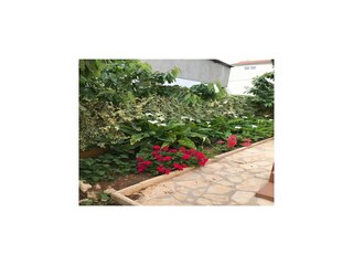 Appartement Vodice Buitenaudio-opname 8