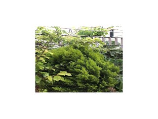 Appartement Vodice Enregistrement extérieur 8