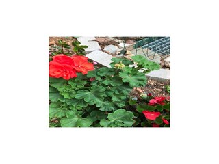 Appartement Vodice Buitenaudio-opname 10