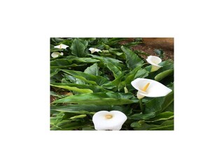 Appartamento Vodice  29