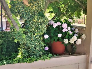 Appartamento Vodice  6