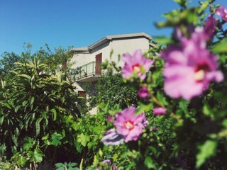 Apartamento Sibenik Grabación al aire libre 8