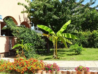 Apartamento Sukošan Grabación al aire libre 5