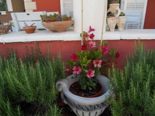 Appartement Vodice  21