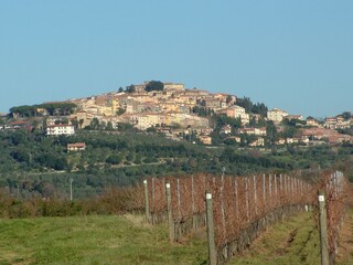 Castagneto Carducci