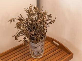 Apartment Dubrovnik Außenaufnahme 11