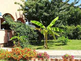 Apartment Sukošan Außenaufnahme 8