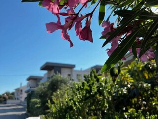Appartement Vrh  1