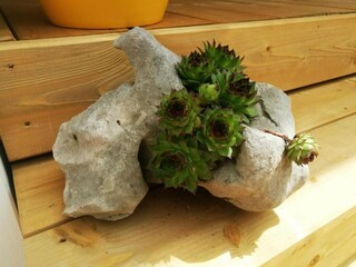 Maison de vacances Biograd  20