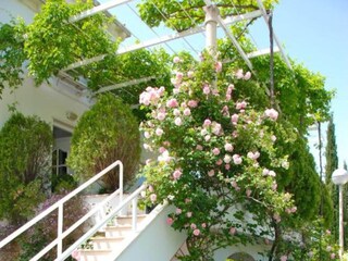 Appartement Mlini Buitenaudio-opname 6