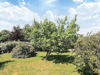 Vakantiehuis Bogø  5