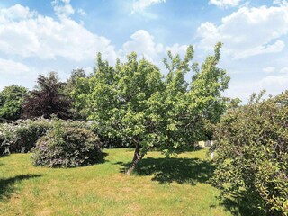 Vakantiehuis Bogø  9
