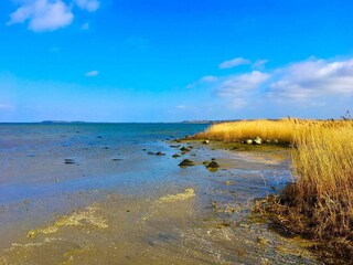 Casa per le vacanze Bogø  21