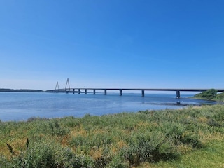 Ferienhaus Bogø  11