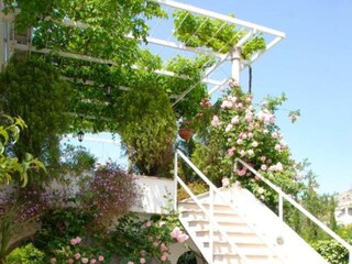 Appartement Mlini  8