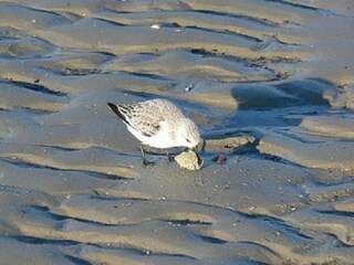Appartamento per vacanze Buren Ambiente 18