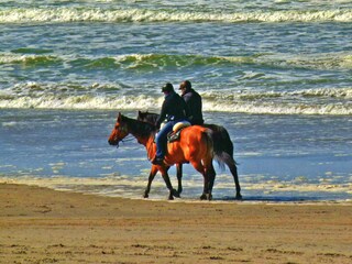 Appartamento per vacanze Buren Ambiente 19