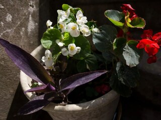 Appartement Dubrovnik Buitenaudio-opname 3