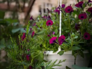 Appartement Dubrovnik Enregistrement extérieur 4