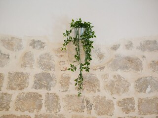Appartement Vrh  23