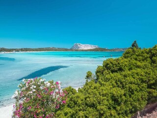 Vakantiehuis San Teodoro Omgeving 28