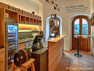 Vakantiepark St. Lorenzen ob Murau Kenmerken 14