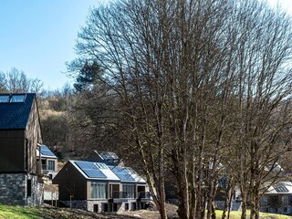 Villa La Roche-en-Ardenne Omgeving 21