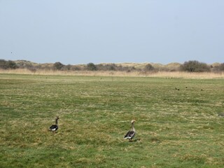 Villa Den Burg Environnement 22