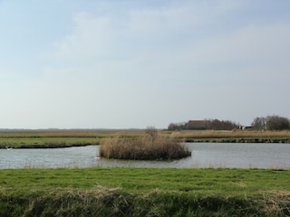 Villa Den Burg Omgeving 27