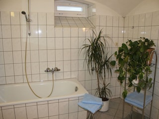 Apartment Weißig Ausstattung 13
