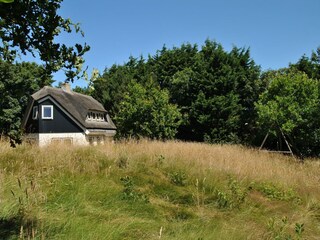 Landhaus De Cocksdorp Außenaufnahme 5