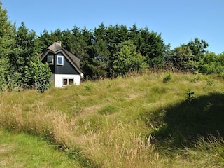 Landhaus De Cocksdorp Außenaufnahme 2