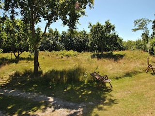 Landhaus De Cocksdorp Außenaufnahme 4