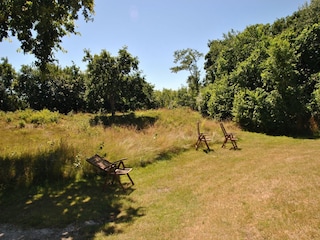 Landhaus De Cocksdorp Außenaufnahme 6