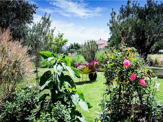 Apartment Kastel Novi Außenaufnahme 3