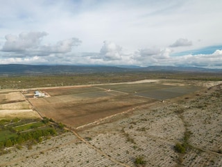 Villa Unešić Außenaufnahme 14