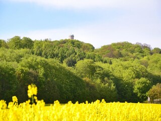 Appartamento Sellin Ambiente 36