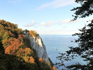 Apartment Sellin Umgebung 20