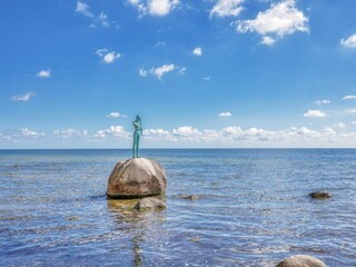 Appartamento Sellin Ambiente 14