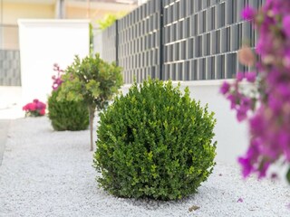 Villa Kaštel Stari Außenaufnahme 2