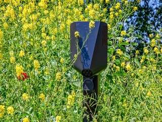 Vakantiehuis Oosterend  38