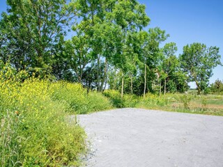 Casa per le vacanze Oosterend Registrazione all'aperto 7