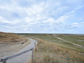 Vakantiehuis De Koog Omgeving 37