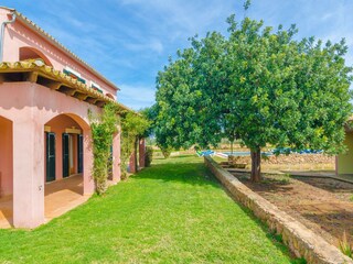 Villa Llucmajor  43