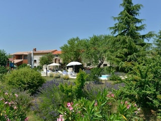 Ferienhaus Pinezići Außenaufnahme 13