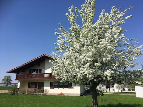 Ferienhaus Reith 3