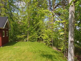 Holiday house Ebeltoft Outdoor Recording 6
